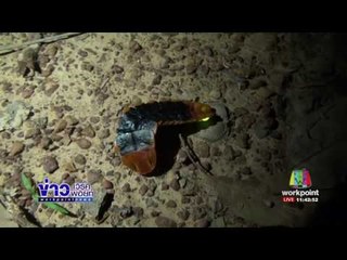 ตื่นตาตื่นใจปรากฏการณ์หิ่งห้อยที่บ้านรักไทย | ข่าวเวิร์คพอยท์ | 08 มิ.ย.60