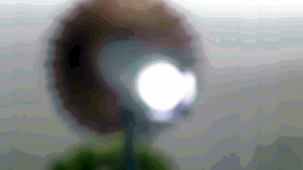 اليوم إنطلاق الحلقة الأولى من همسة، إنتظرونا ال7م بتوقيت السعودية!