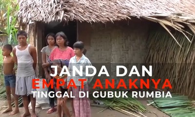 Janda dan Empat Anaknya Tinggal di Gubuk Rumbia