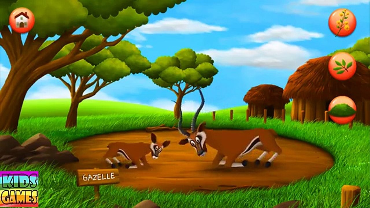 Learn Wild Animals Voices Food Wild Animals Education Video for Children