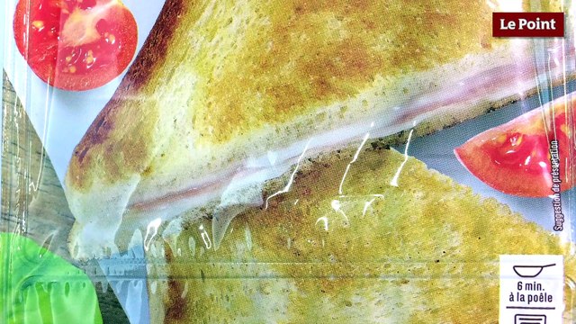 Plats industriels : comment choisir mon croque-monsieur ? #5