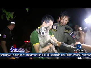 ช่วยสุนัขพันธุ์บางแก้ว ติดท่อนาน 3 วัน |ข่าวเวิร์คพอยท์| 30พ.ค.60