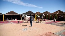 Des étalons dans les dunes: défi équestre dans le désert