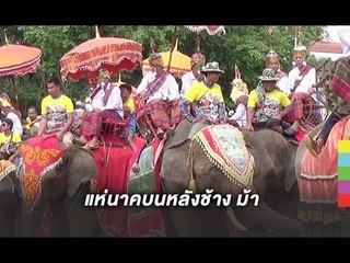สีสันงานแห่นาค ยิ่งใหญ่ด้วยขบวนช้าง ม้า รถลาก