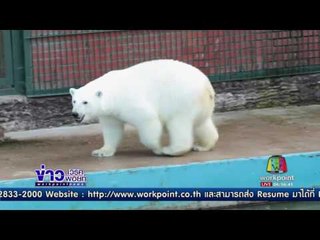 โปรตุเกส เตรียมดวลแข้ง ชิลี ในศึก คอนเฟดเดอเรชั่นส์ คัพ | ข่าวเวิร์คพอยท์ | 28 มิ.ย.60