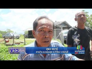 มดสร้างเมือง ตอน ถนนพัง| ข่าวเวิร์คพอยท์ | 4 ก.ค. 60