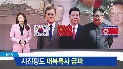 시진핑, 다음 주 대북특사…김정은에 어떤 메시지?