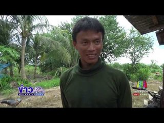 จนท เร่งผลักดันช้างป่าสีแดงเข้าป่า | ข่าวเวิร์คพอยท์ | 5 ก.ค. 60