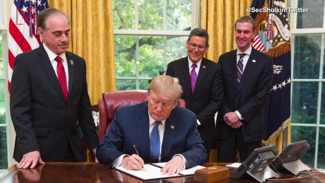 Report: Trump's VA Secretary Tried To Bring His Wife To Meet Prince Harry At The Invictus Games