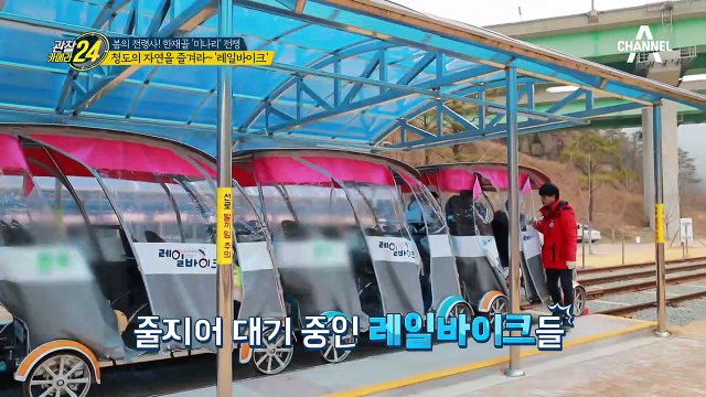 [추억 쌓기♪] 청도 미나리 먹고 레일바이크 타자! #식후_운동 #다이어트 #성공적