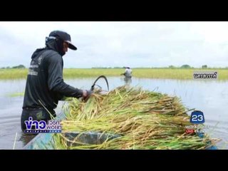 สถานการณ์น้ำท่วม | ข่าวเวิร์คพอยท์ | 24 ก.ค.60