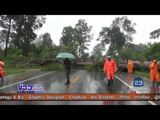 พายุเซินกาถล่มร้อยเอ็ด ต้นไม้ใหญ่ล้มขวางถนน | ข่าวเวิร์คพอยท์ | 27ก.ค.60