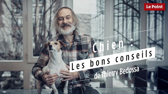 Chiens : les bons conseils de Thierry Bedossa