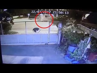 นาทีหนุ่มซิ่งรถ จยย. หลุดโค้งชนกำแพง รพ.