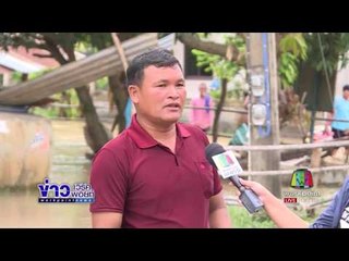 รายงานสด  - น้ำชีเอ่อล้นท่วมหมู่บ้าน ต ค้อเหนือ จ ยโสธร | ข่าวเวิร์คพอยท์ | 4 ส.ค. 60