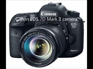 Abes of Main - Best DSLR cameras for 2018