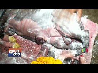 แม่วัวออกลูกตาย เจ้าตูบนอนเฝ้าไม่ห่าง l ตลาดข่าว l 8 ส.ค.60