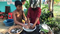 Kids Fried Frog With Flour - How To Fried Frog In Cambodia - Cooking Frog Recipe