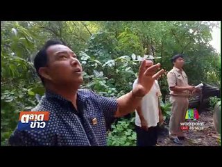 พายุฝนถล่มพัดต้นไม้อายุนับร้อยปีโค่นทับบ้านพัง l ตลาดข่าว l 22 ส.ค. 60