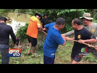 ยึดไม้ประดู่เกือบ 100 ท่อนซ่อนในบ่อน้ำl ตลาดข่าว l 17 ส.ค.60