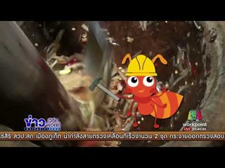 มดสร้างเมือง ตอน  ถนนพัง+เครื่องสับมะละกอ | ข่าวเวิร์คพอยท์ | 23 สค 60