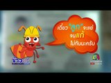 มดสร้างเมือง ตอนขอมีบัตรปชช ปลูกป่า  | ข่าวเวิร์คพอยท์ | 24 สค 60