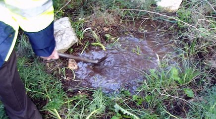 Andria: fuoriesce acqua dal terreno a Castel del Monte, "una tubatura rotta"