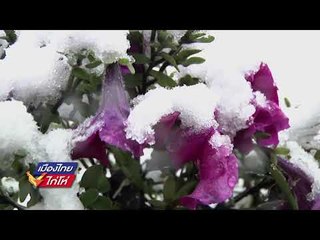 หิมะตกก่อนกำหนดที่มณฑลเฮยหลงเจียงในจีน l เมืองไทยไก่โห่ l 30 ส.ค. 60