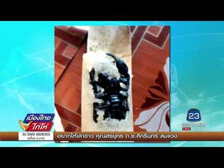 ซื้อข้าวหลาม แถมซากแมงป่อง | เมืองไทยไก่โห่ | 4 ก.ย. 60