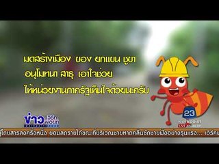 มดสร้างเมือง ตอน  ถนนพัง + บ่อขยะ l ข่าวเวิร์คพอยท์ I 11 ก.ย. 60