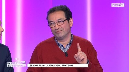 Les bons plans jardinage du printemps