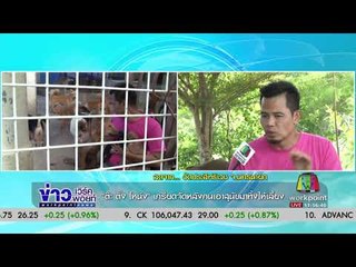 ต๊ะ ติ๊ง โหน่ง เครียดจัดหลังคนเอาสุนัขมาทิ้งให้เลี้ยง l ข่าวเวิร์คพอยท์ l 6 ก.ย. 60