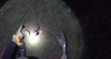 Galatasaray Taraftarı Ülker Stadyumu'ndan Muska Çıkardı