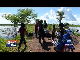 ฝนตกน้ำท่วมขังหอยเชอรี่ระบาดชาวบ้านจับต้มขาย I ตลาดข่าว I 12 ก.ย. 60