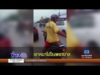 ชายโหด ขี่จยย ลากหมา หลายกิโล I ข่าวเวิร์คพอยท์ I 15 ก.ย. 60