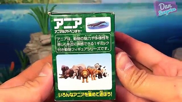 15 SEA ANIMALS SURPRISE TOYS 3D PUZZLES for kids - Great White Shark Whale Manta Ray Beluga Turtle