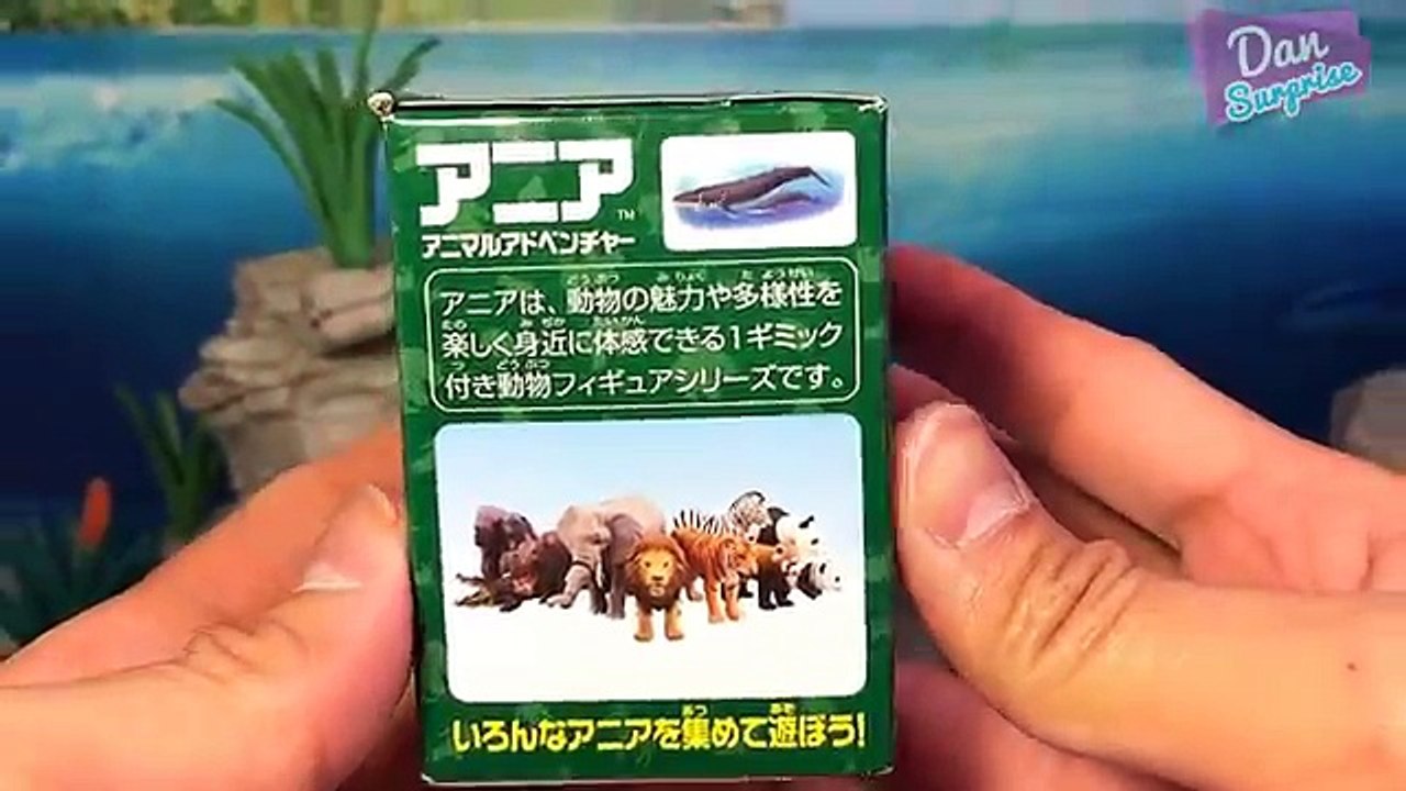 15 SEA ANIMALS SURPRISE TOYS 3D PUZZLES for kids - Great White Shark Whale Manta Ray Beluga Turtle