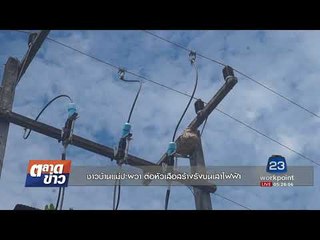 ชาวบ้านแม่ปะ “ผวา“ ต่อหัวเสือสร้างรังบนเสาไฟฟ้า l ตลาดข่าว l 25 ก.ย.60
