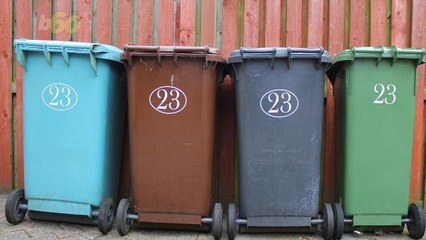 Spring Clean These Items Straight Into the Trash Can