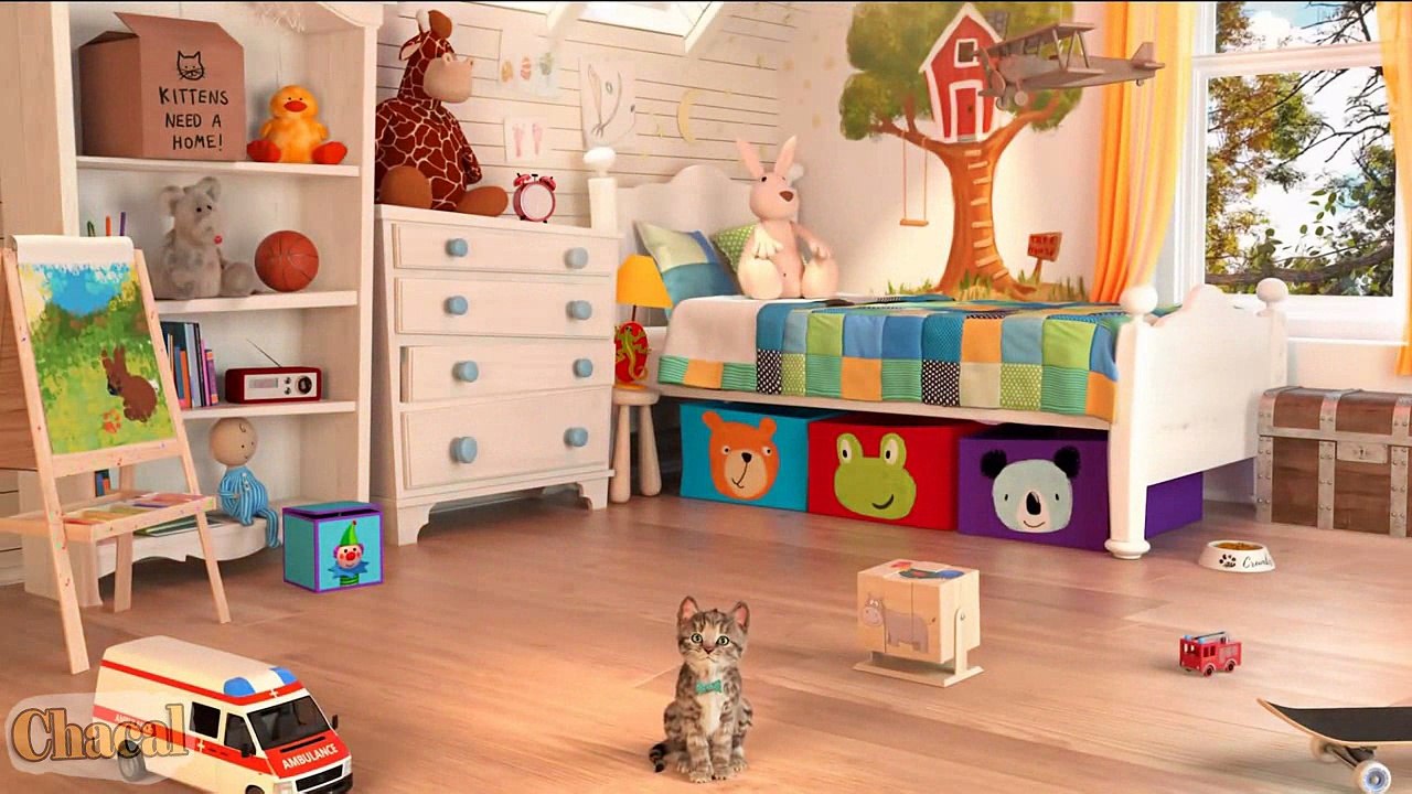 Lindo Gatito