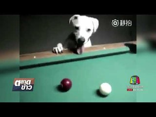 Funny Games l ตลาดข่าว l 4 ต.ค. 60