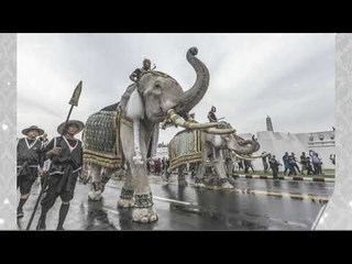โปรดเกล้าฯ ปชช ส่งภาพระลึก ร ๙ l ข่าวเช้าเวิร์คพอยท์ l 13 ต.ค.60