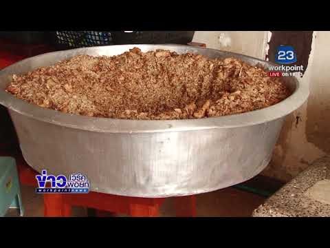 ผัวเมียเลี้ยงหมา แมวจรจัด 13 ปี หมดเงิน 100 ล้าน l ข่าวเวิร์คพอยท์ l 4 พ.ย. 60