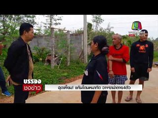 สุดเหี้ยม! แค้นโดนหมากัด วางยาฆ่าตาย4ตัว  l ข่าวเวิร์คพอยท์ l 1 พ.ย. 60