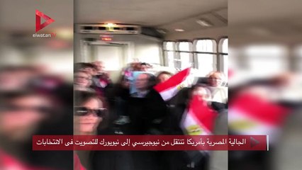 الجالية المصرية بأمريكا تنتقل من نيوجيرسي إلى نيويورك للتصويت فى الانتخابات