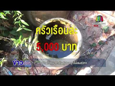 มดสร้างเมือง เรื่อง ชาวบ้านโวยแจกพันธุ์ปลาดุกไม่สมราคา |ข่าวเวิร์คพอยท์| เที่ยง 6 ธ.ค. 60