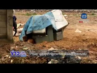 “ เจ้าเฉย “ สุนัขถูกทิ้งข้างกองขยะนอนรอเจ้าของมารับ |ข่าวเวิร์คพอยท์| 5 ธ.ค. 60