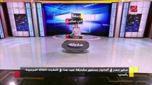 السفير المصري في ألمانيا يكشف تفاصيل مشاركة المصريين في الانتخابات الرئاسية