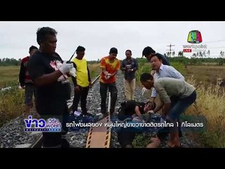 รถไฟชนสยอง หนุ่มใหญ่ขาขวาขาดติดรถไกล 1 กิโลเมตร l ข่าวเวิร์คพอยท์ l 27 ธ.ค. 60