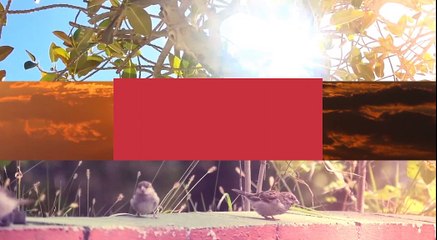 WEATHER: Latest Weather Update